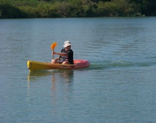 Kayak en Camargue